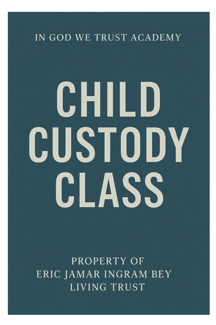 Child Custody Ebook