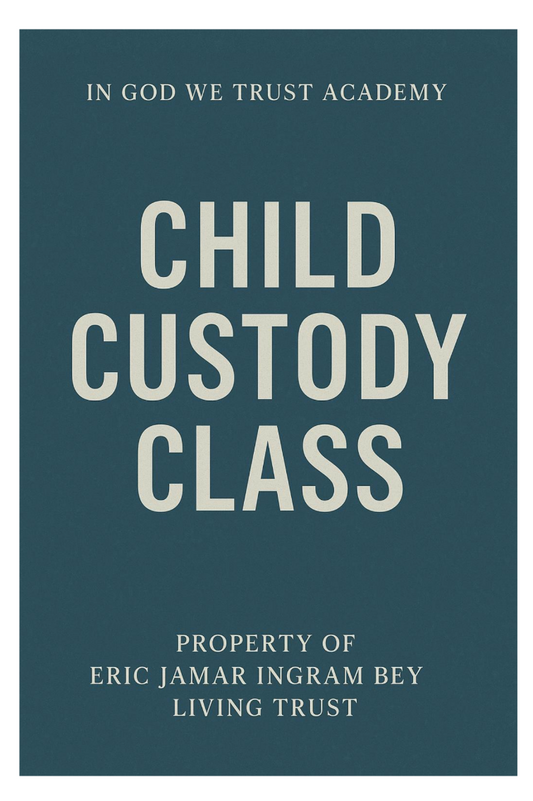 Child Custody Ebook