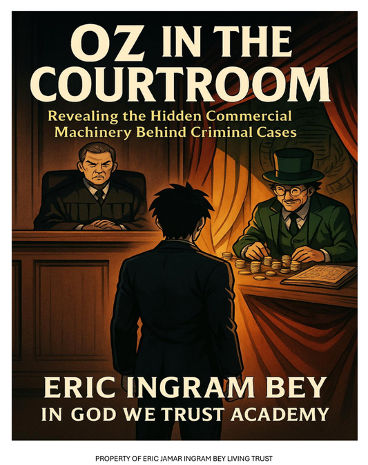 Oz in the Courtroom Ebook